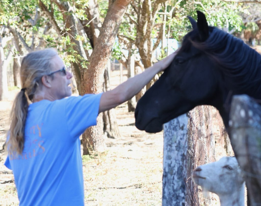 Guayabo Animal Rescue-Guayabo必去景点