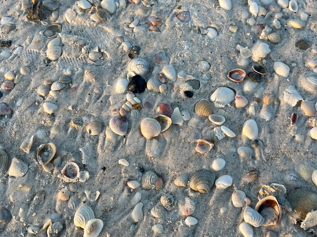 Cortez Beach-布雷登顿必去景点