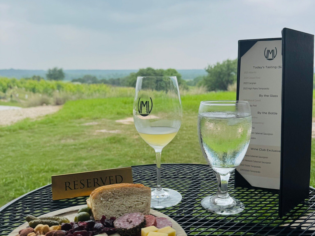 Valley Mills Vineyards-韦科必去景点