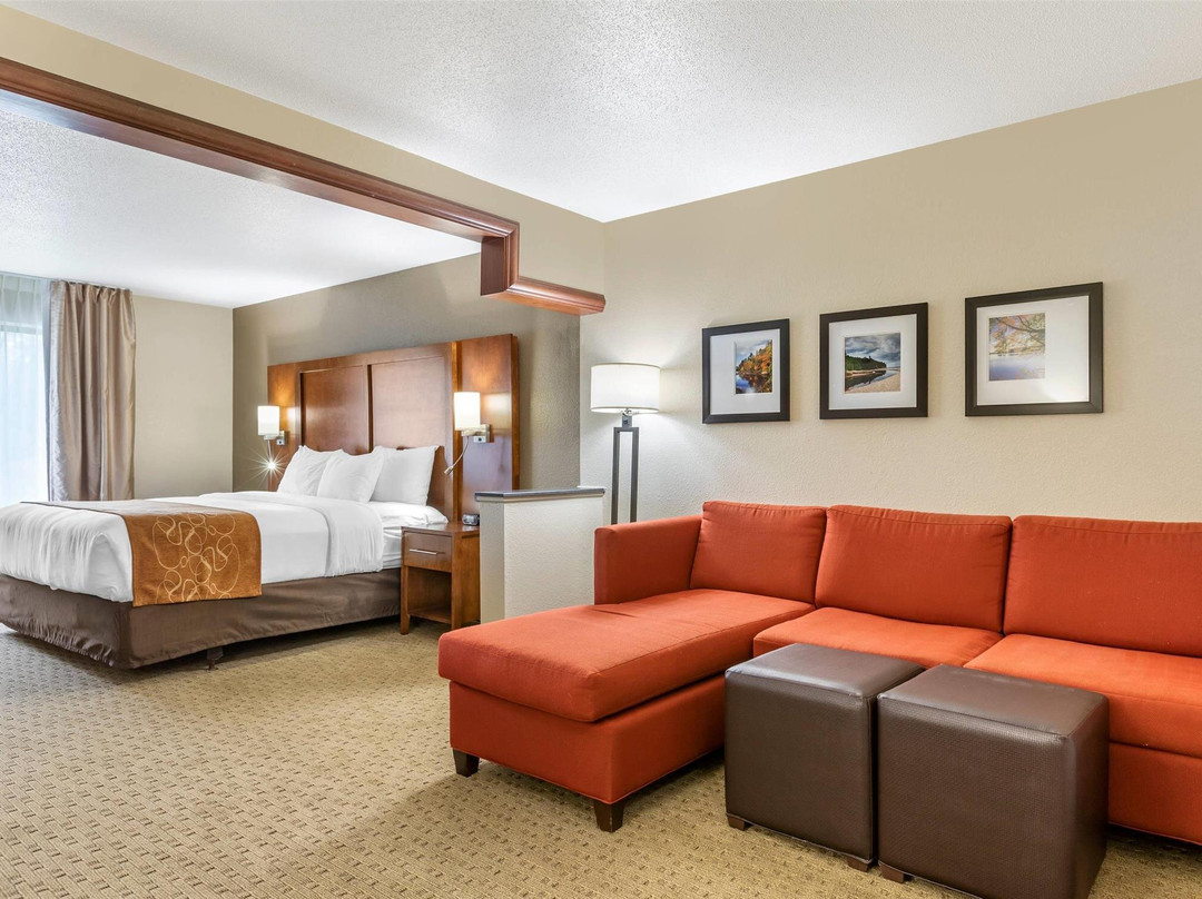 Conklin酒店住宿-Comfort Suites Grand Rapids North