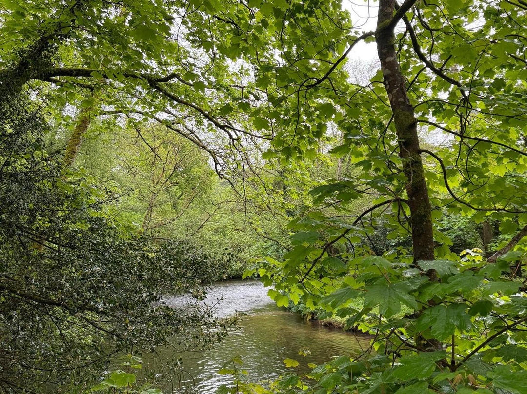 Lanhydrock and Respryn Circular Walk-博德明必去景点