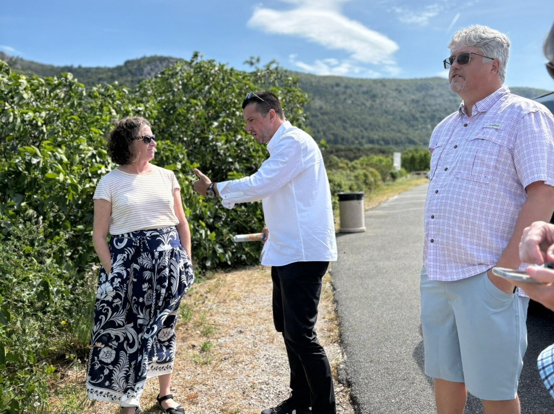 Dubrovnik Riviera Tours-杜布罗夫尼克必去景点
