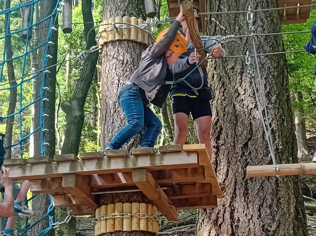 Jungle Raider Park-Albavilla必去景点