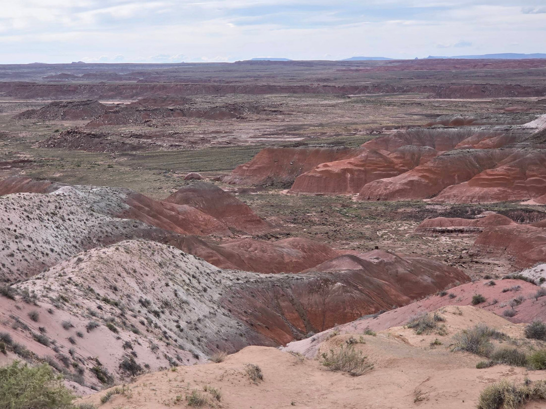 Petrified Forest National Park-霍尔布鲁克必去景点