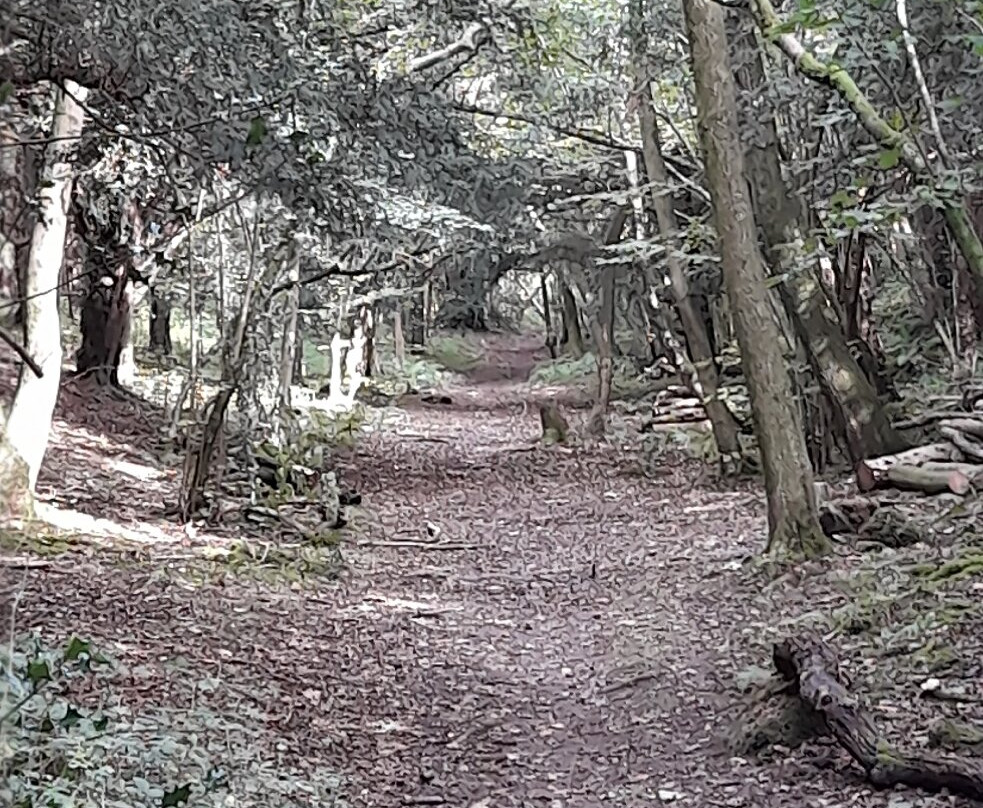 Grubbins Wood-Arnside必去景点