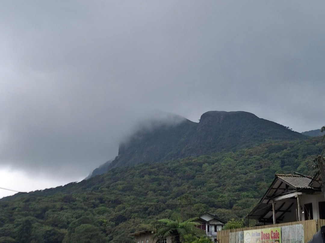 Trek Tropical Tours - Sri Lanka Tours & Travels-埃勒必去景点