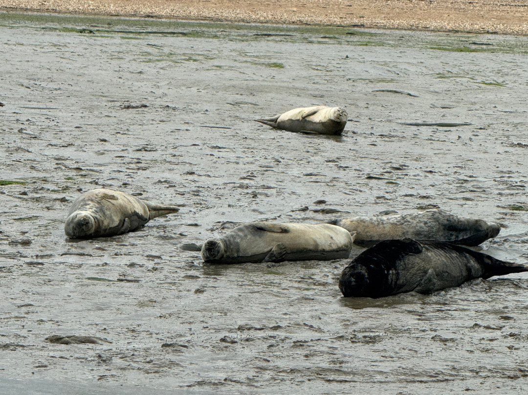 Chichester Harbour Water Tours-West Itchenor必去景点