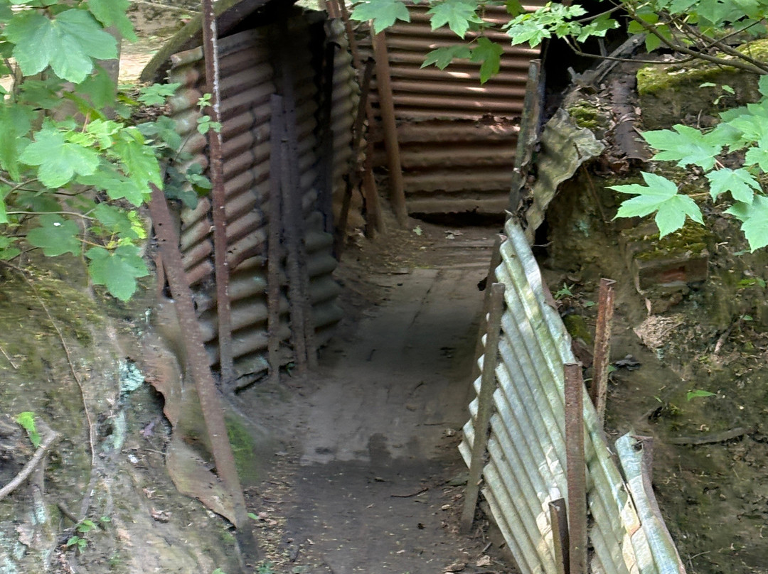 Sanctuary Wood Museum-Zillebeke必去景点