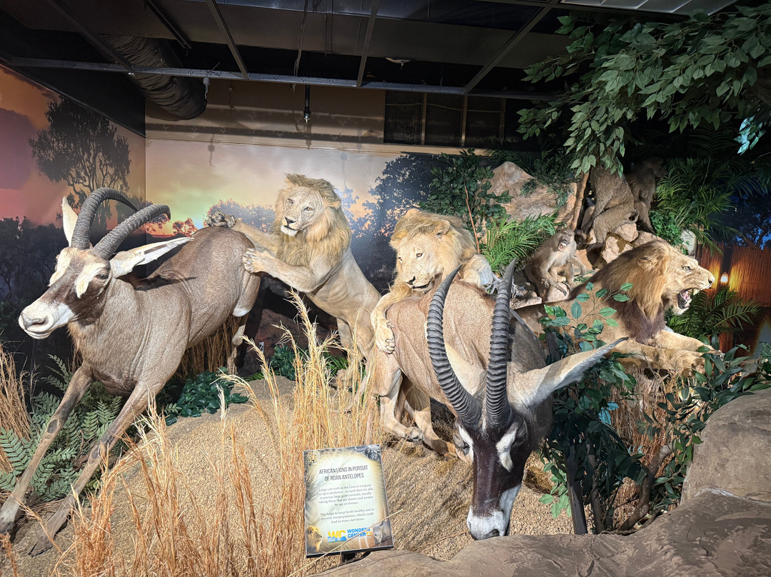 Wonders Center & Science Museum-Dickson必去景点