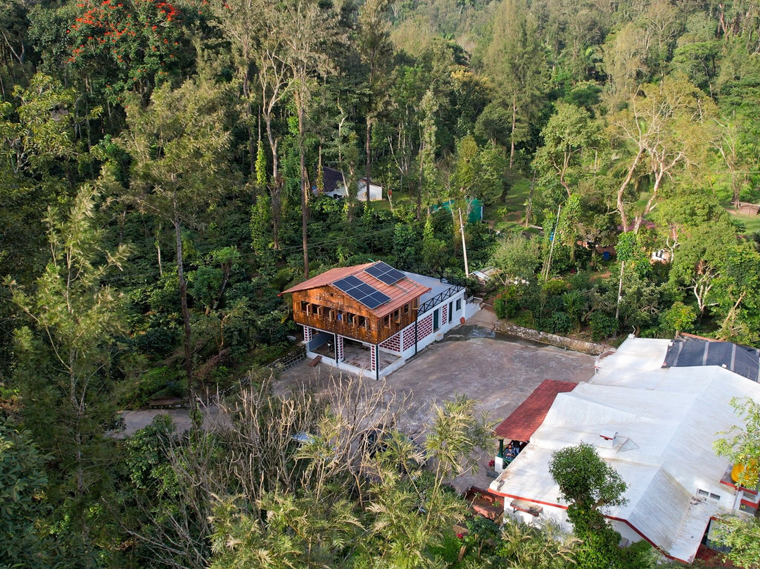 Greendale Coffee Experience-Suntikoppa必去景点