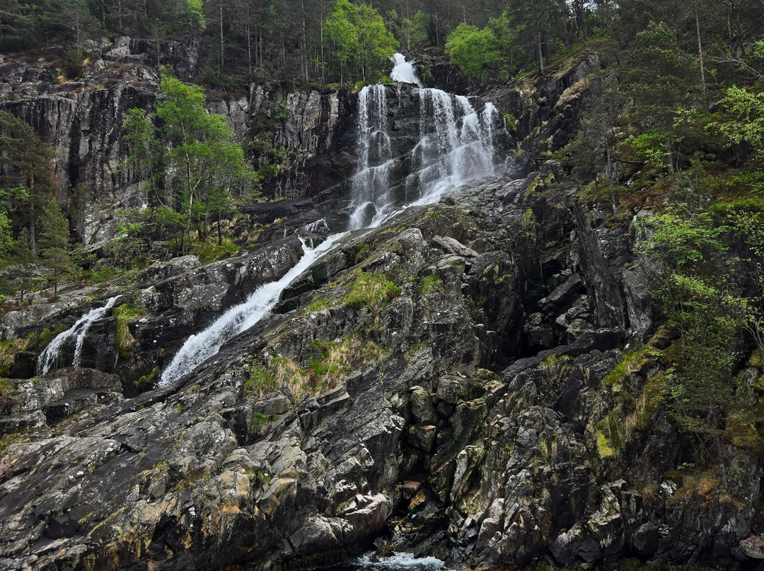 Helgoy Skyssbat-Helgøy i Ryfylke必去景点
