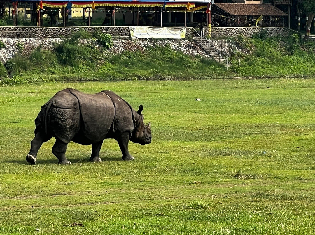 Travelogy India-Kaushambi必去景点