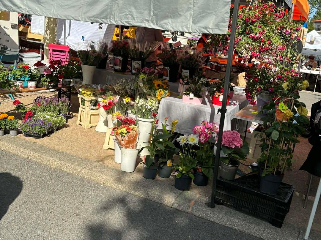 Marché de Biscarrosse-比斯卡罗斯必去景点