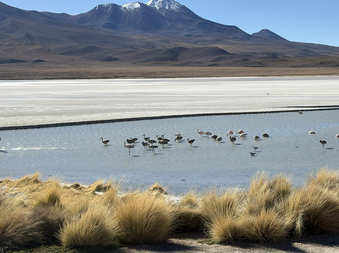Terra Gaia Bolivia-拉巴斯必去景点