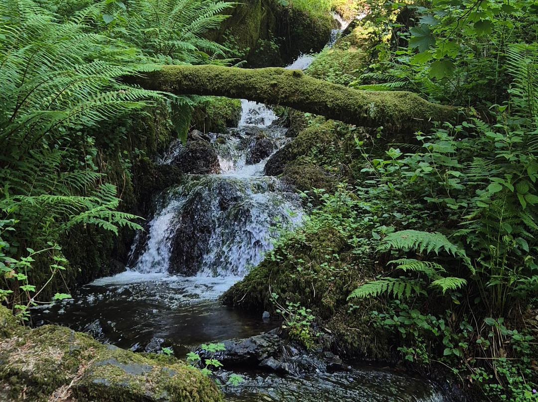 Canonteign Falls-Christow必去景点