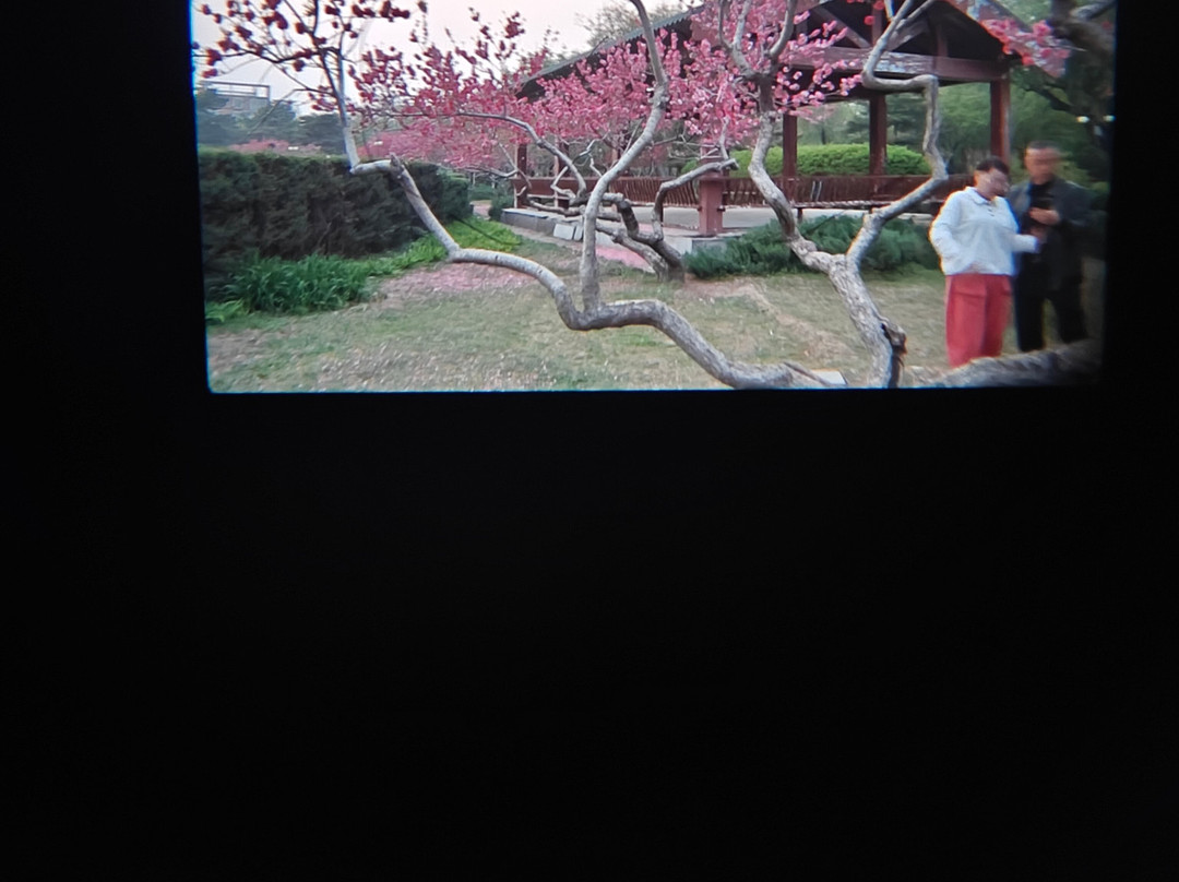 燕郊公园