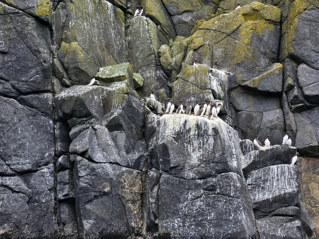 Ballintoy Boat Tours-Ballintoy必去景点