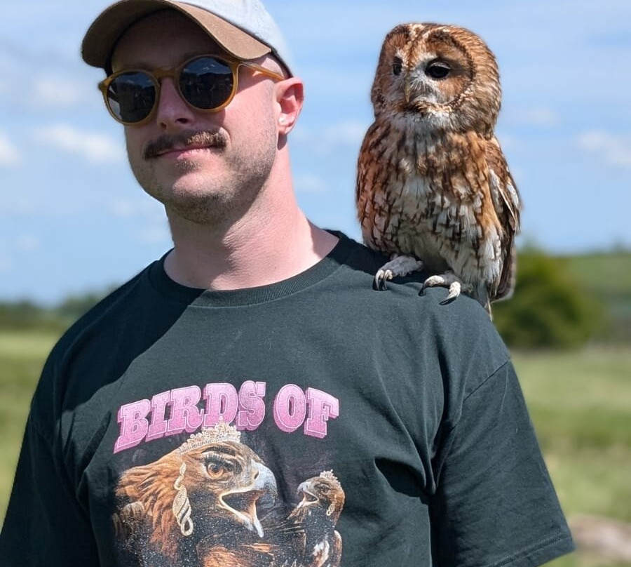 Bird on the Hand Falconry Experiences-Church Langton必去景点