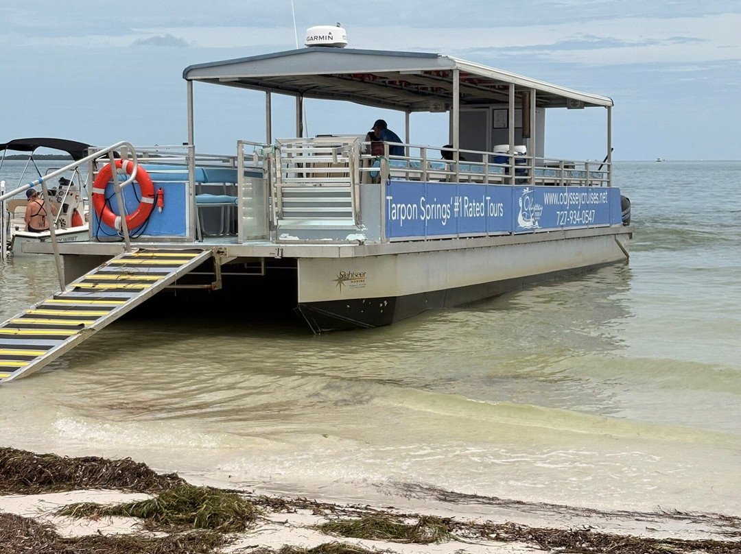 Anclote Key Preserve State Park-新里奇港必去景点