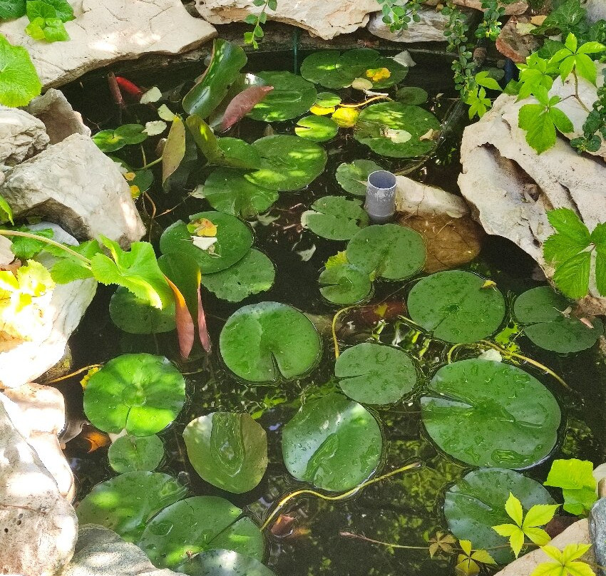 费边潘兹欧酒店主图