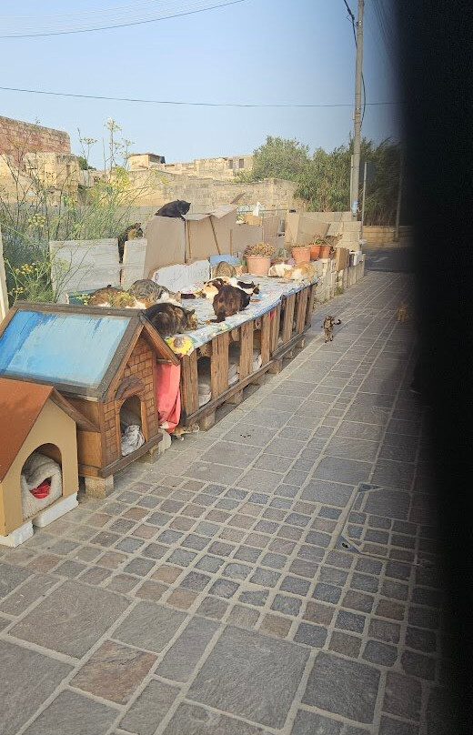 Manouche Marsaxlokk