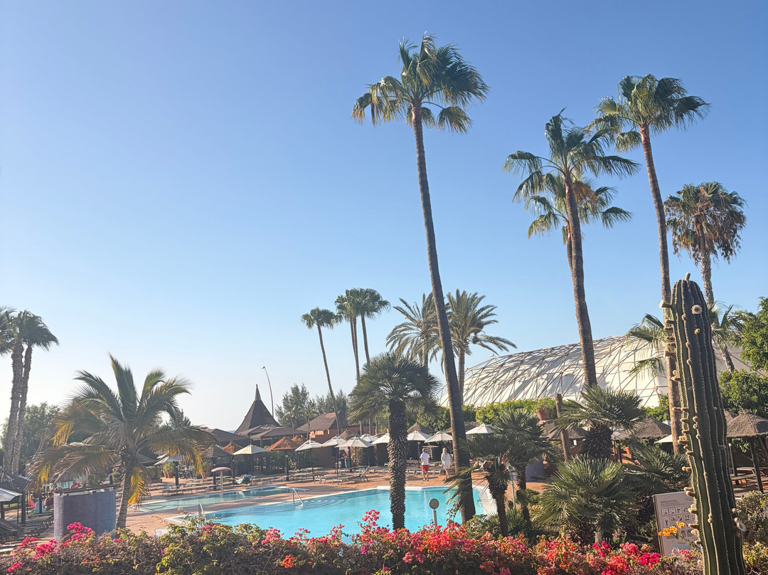 IFA Altamarena by Lopesan Hotels - 全包主图