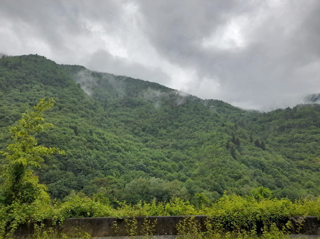 Borçka Karagöl Tabiat Parkı-Artvin必去景点