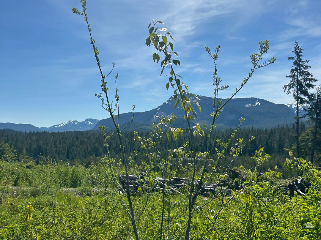 Hoonah ATV Tours-胡纳必去景点