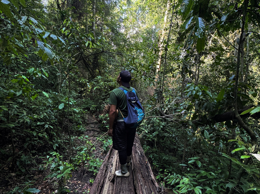 Jack Jungle Trip-Ketambe必去景点