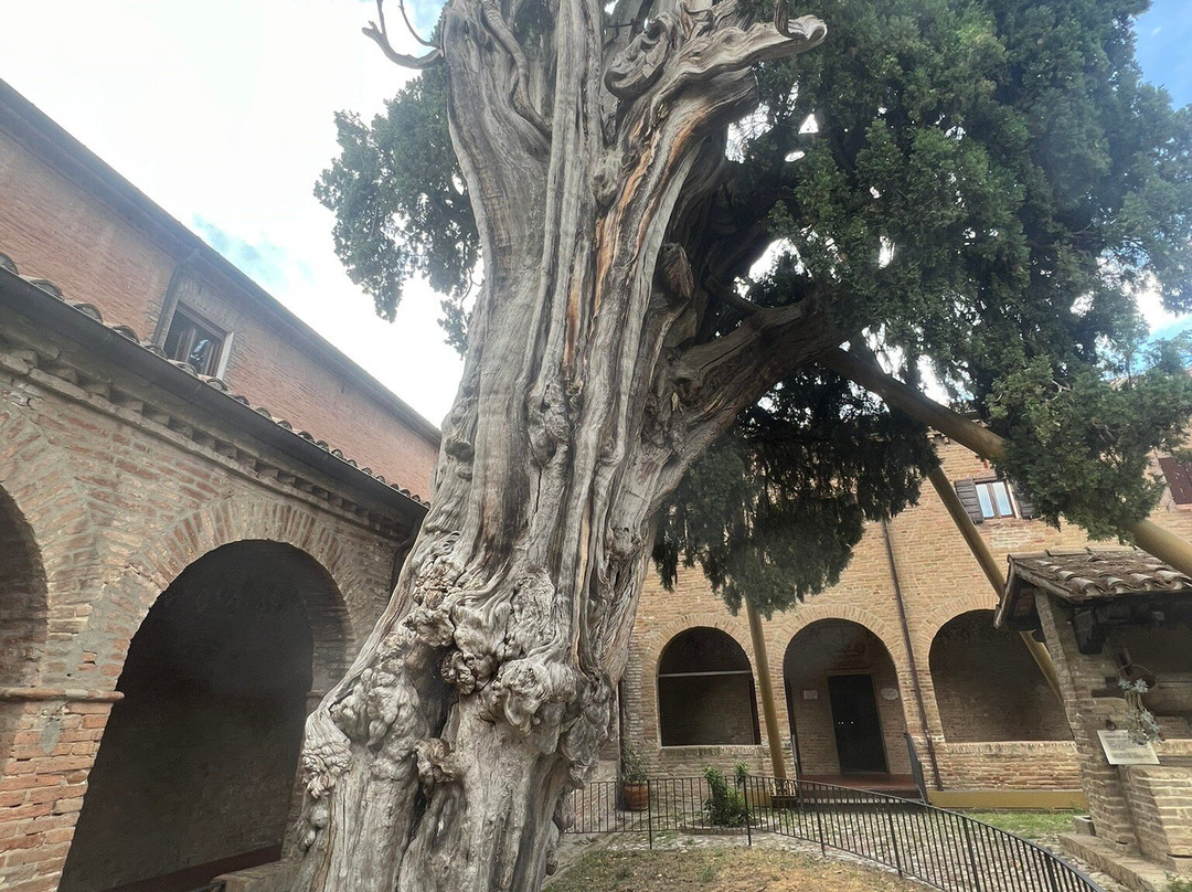 Convento Francescano dei Frati Minori-Verucchio必去景点