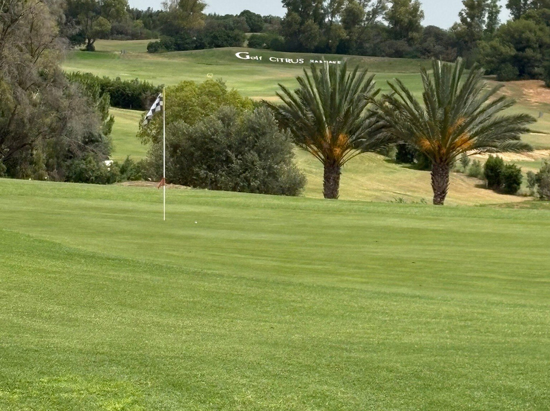 Golf Yasmine-哈玛麦德必去景点