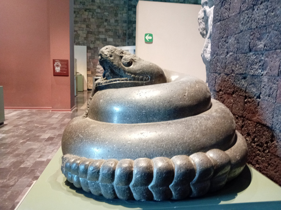 国家人类学博物馆 (Museo Nacional de Antropologia)-墨西哥城必去景点