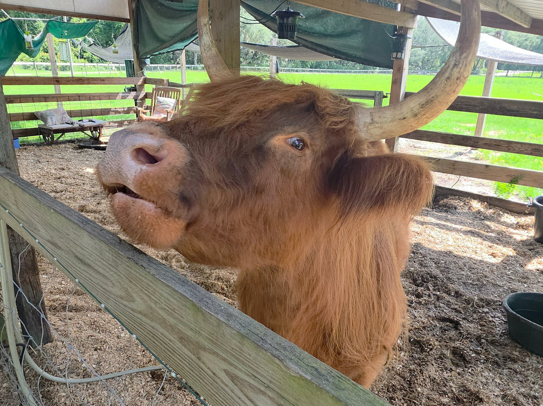 Rooterville Animal Sanctuary-Melrose必去景点