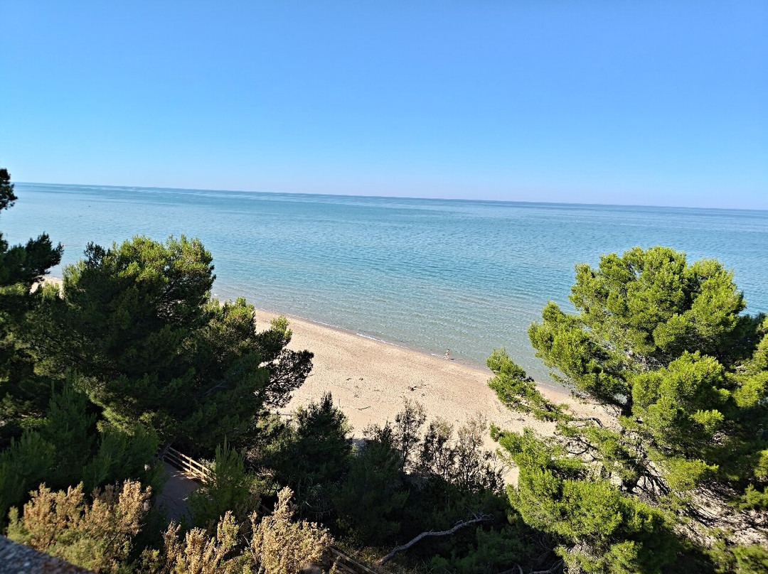Area Marina Protetta Torre del Cerrano-Pineto必去景点
