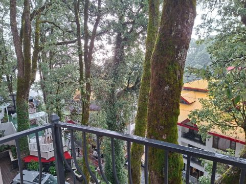 戴尔豪斯茵德拉普拉斯萨度假村-旅行者