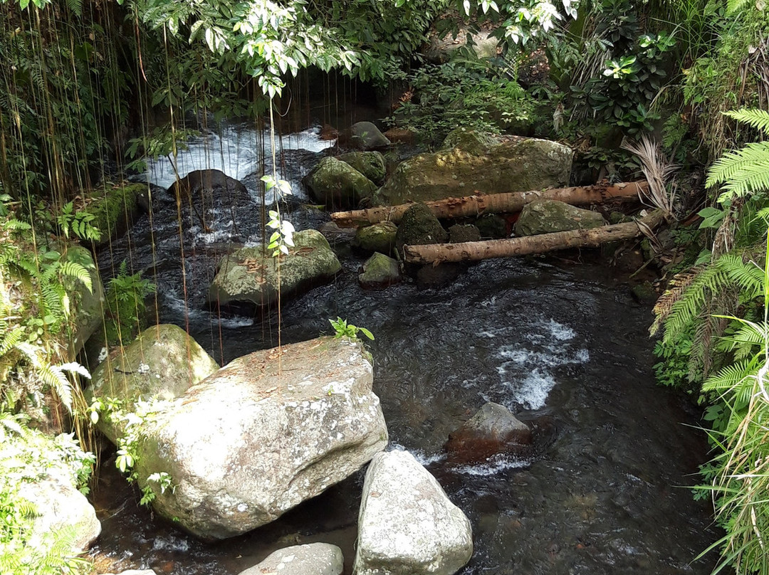 古农卡威斯巴图圣泉寺-Sebatu必去景点