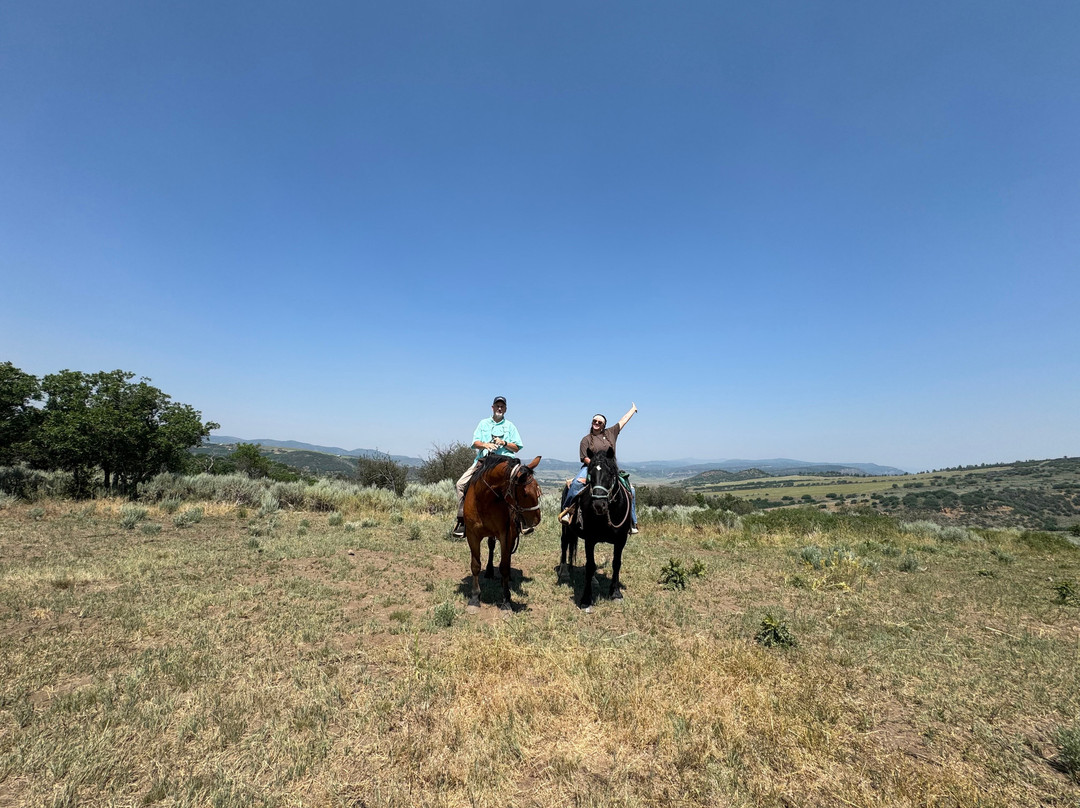 Saddleback Ranch-斯廷博特斯普林斯必去景点