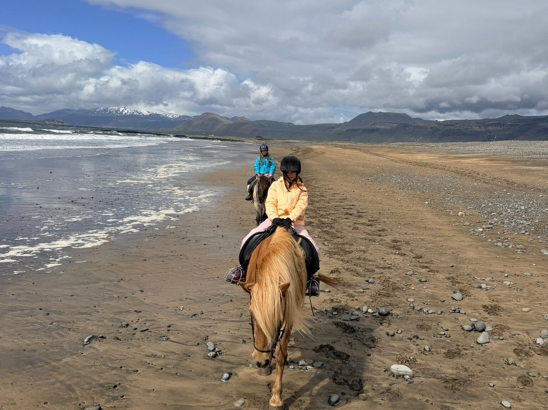 Lysuholl - Horseback riding tours-Snaefellsbaer必去景点