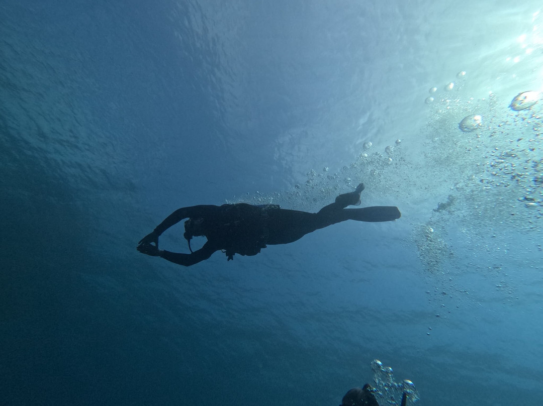 Blu Dive Center-圣特雷莎加卢拉必去景点