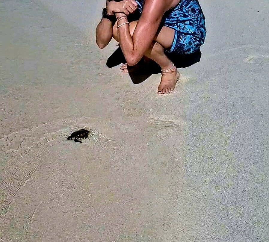 Gili Meno Turtle Sanctuary-Gili Meno必去景点