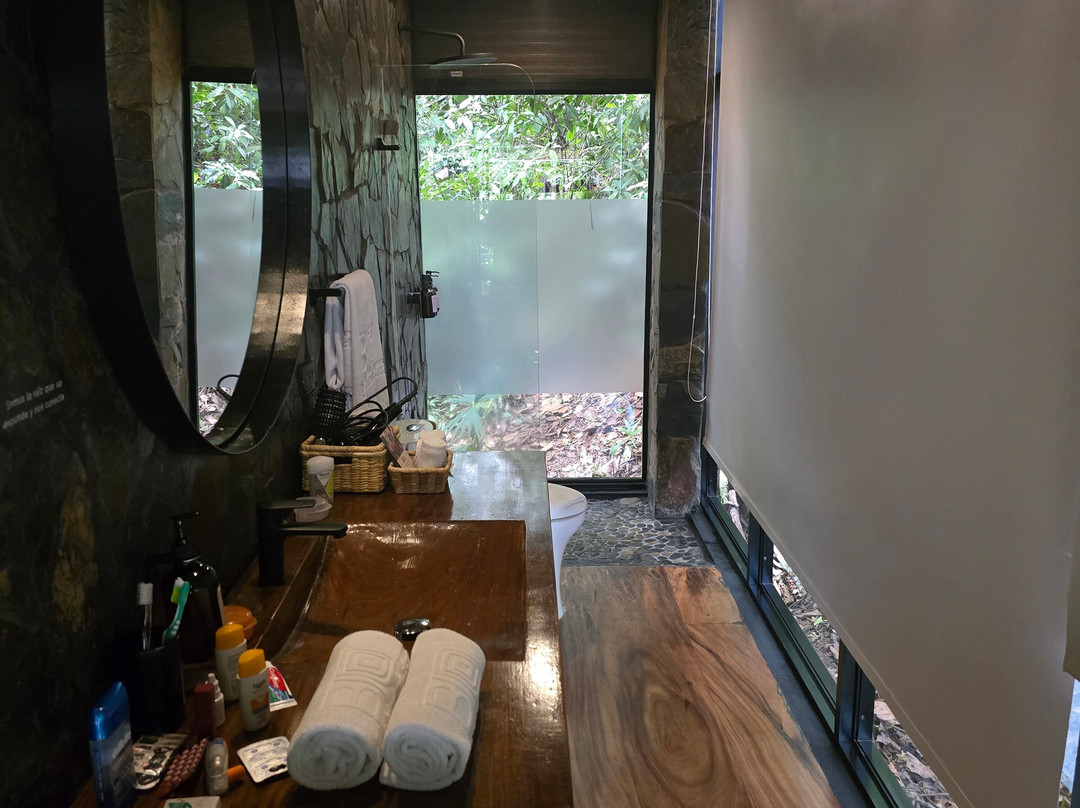 Bio Habitat Hotel主图