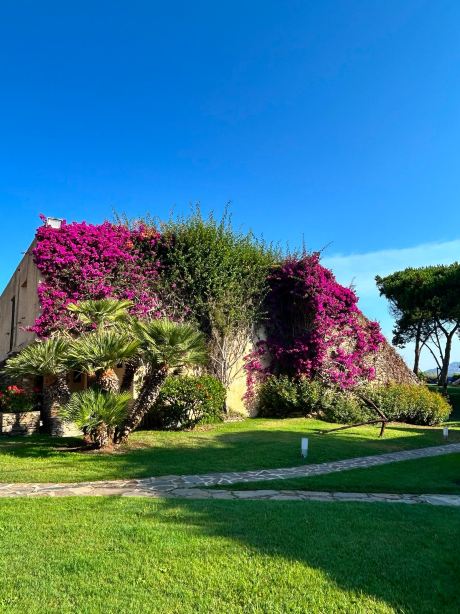 UNA HOTELS Club Hotel Ancora Stintino-旅行者