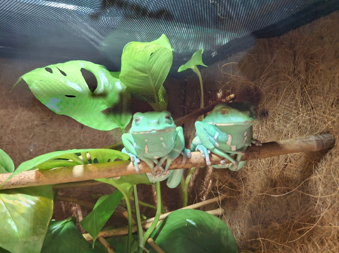 Kaliningrad Zoopark-加里宁格勒必去景点