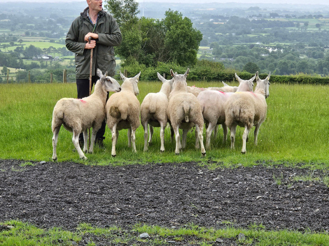 Glenshane Country Farm