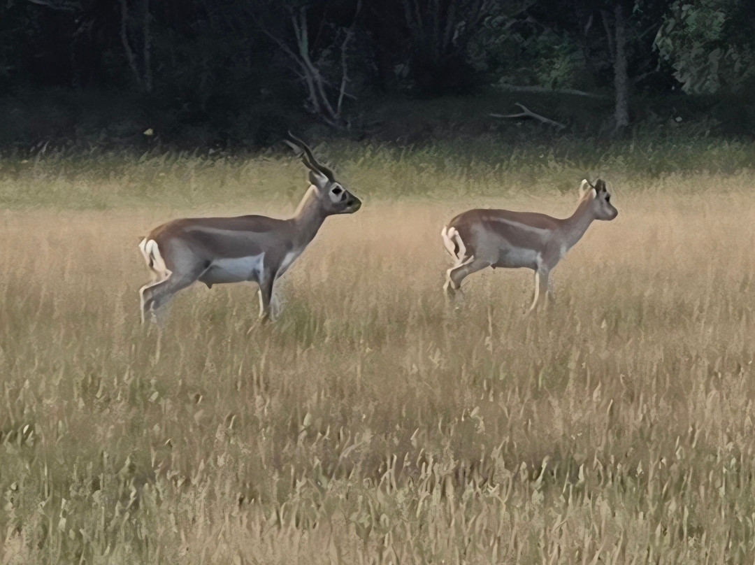 Watatunga Wildlife Reserve-金斯林必去景点