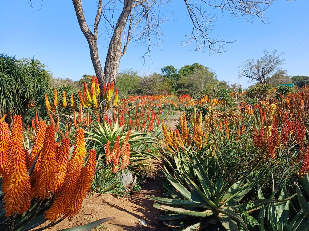 The Aloe Farm-哈特比斯普特必去景点