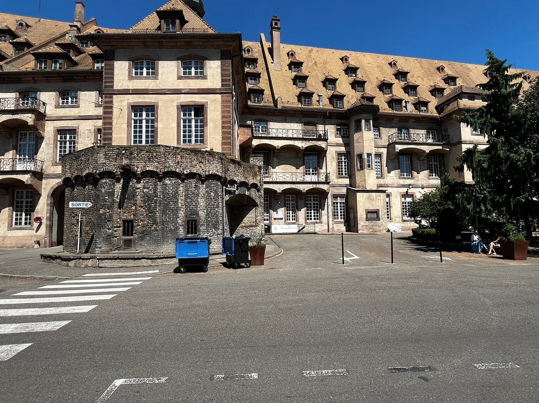 Cave historique des hospices civils de Strasbourg-斯特拉斯堡必去景点