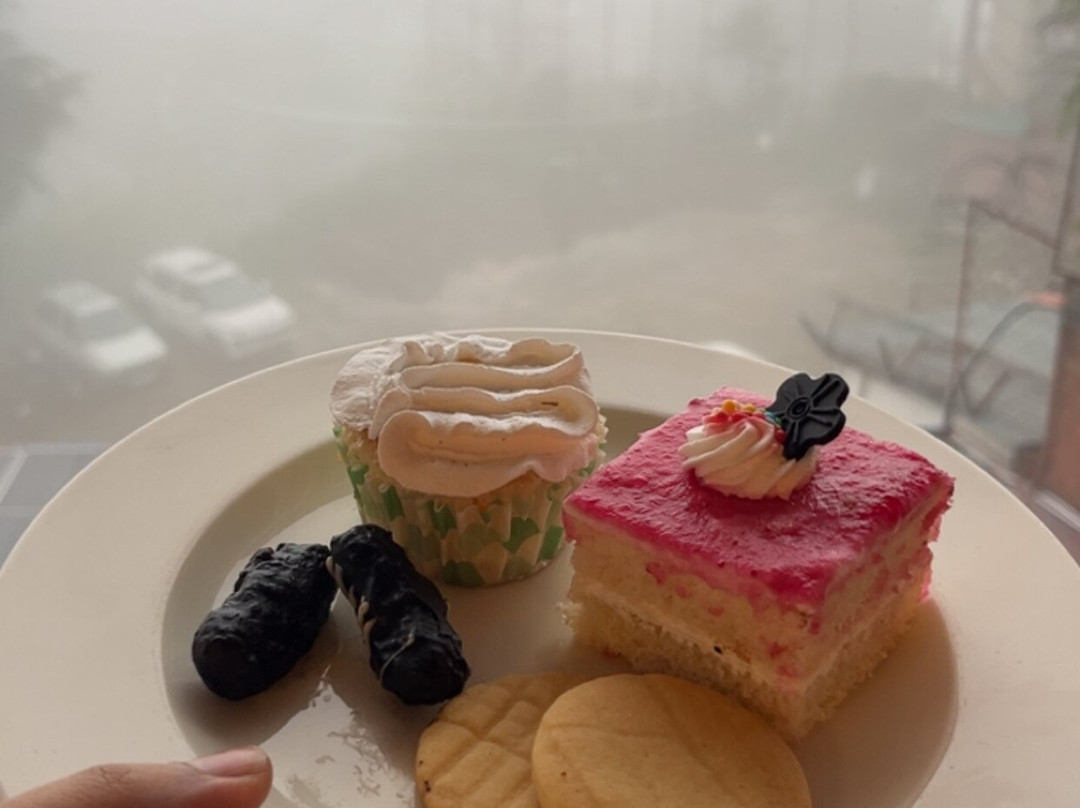 马利戈尔德萨诺瓦波蒂西姆拉酒店主图