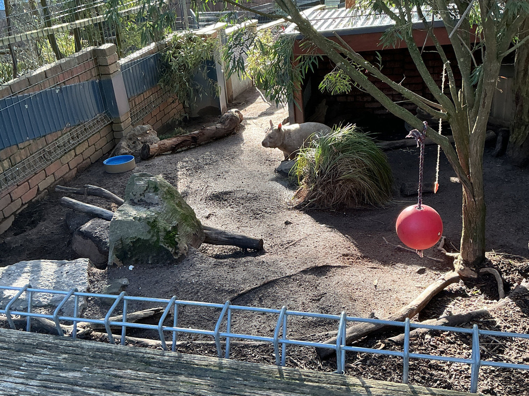 Ballarat Wildlife Park-巴拉瑞特必去景点
