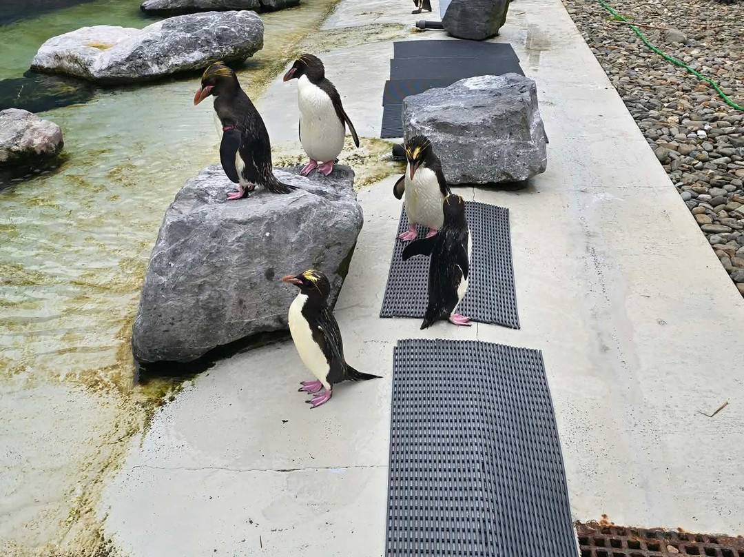 Folly Farm-Begelly必去景点